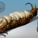 Illustration for article titled Craig Shojis Navi Artifacts